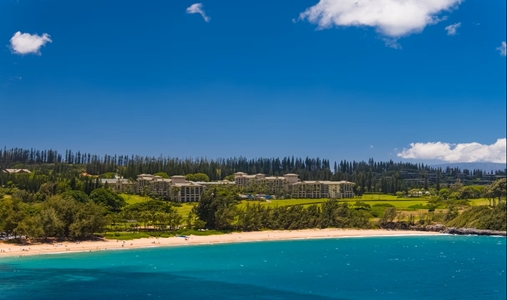 The Ritz-Carlton Kapalua - Photo #24