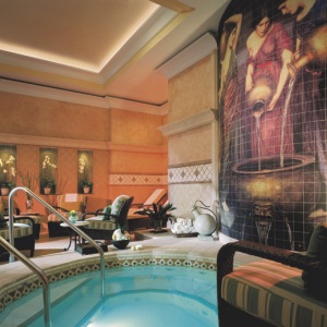 The Ritz-Carlton Sarasota - Photo #8