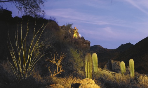 The Ritz-Carlton Dove Mountain - Photo #15