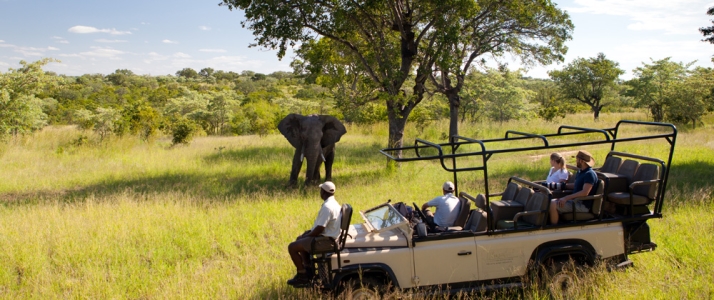 Ulusaba Private Game Reserve - Photo #13