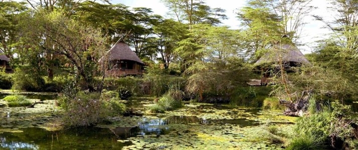 Finch Hattons Virgin Ltd Ed - Natural Springs - Book on ClassicTravel.com