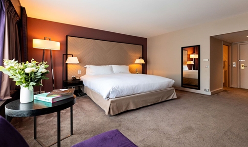 Sofitel Strasbourg Grande Île - Accessible Luxury Room - Book on ClassicTravel.com