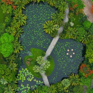 Sofitel Angkor Phokeethra Golf & Spa Resort - Garden - Book on ClassicTravel.com