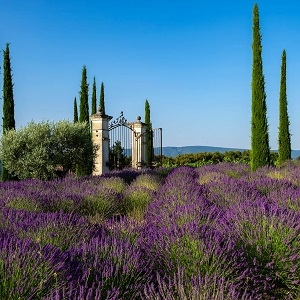 Coquillade Provence