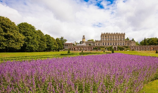 Cliveden House - Photo #8