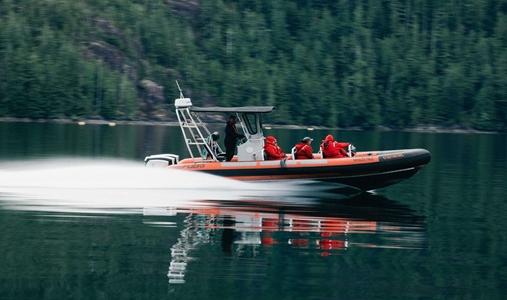 Clayoquot Wilderness Resort - Wildlife Watching - Book on ClassicTravel.com