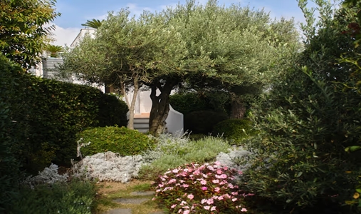 Villa Margherita - Photo #4