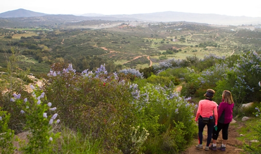 Rancho La Puerta - Hike - Book on ClassicTravel.com
