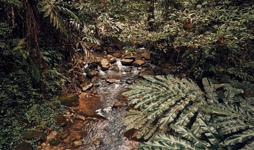 Hacienda AltaGracia - Landscape - Book on ClassicTravel.com