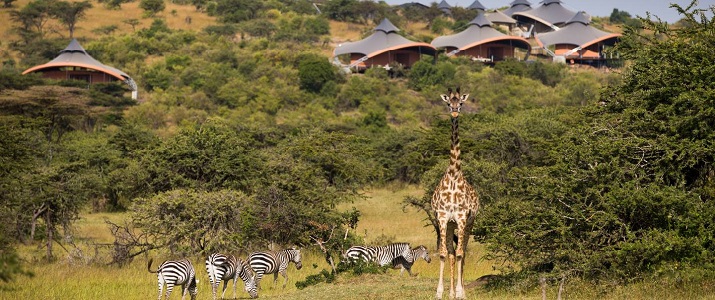 Mahali Mzuri - Photo #2