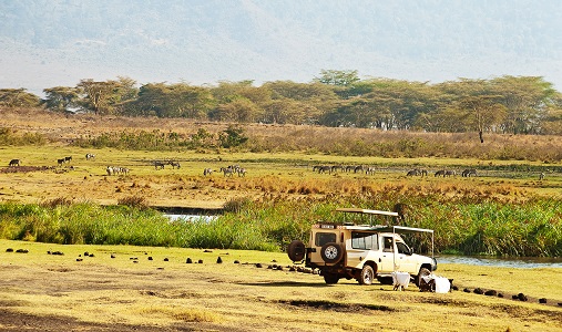The Manor Ngorongoro - Photo #7
