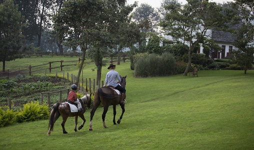 The Manor Ngorongoro - Photo #4