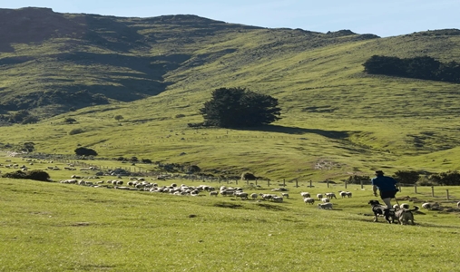 Annandale - Farm - Book on ClassicTravel.com