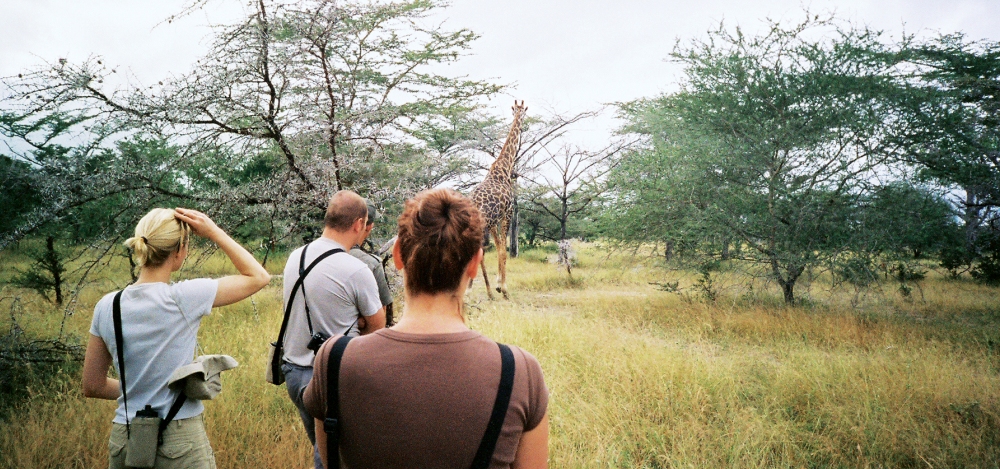 East African Hemingway Safari - Photo #5